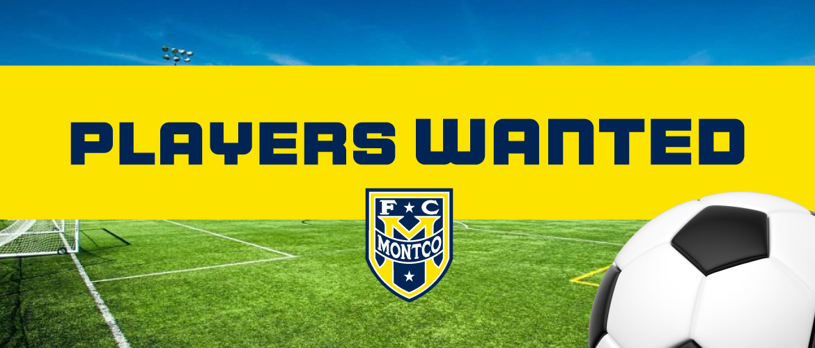 Travel Players Wanted!